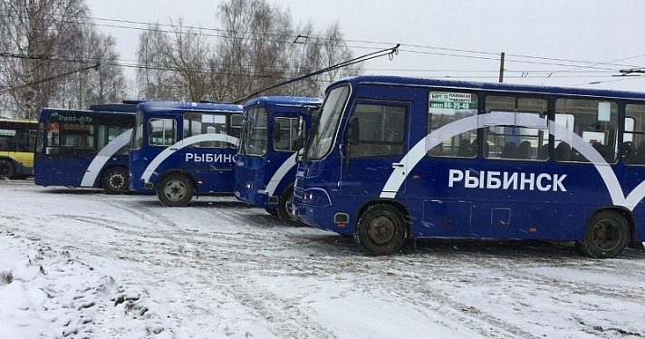 В Рыбинске появился брендированный общественный транспорт. Фото_169550