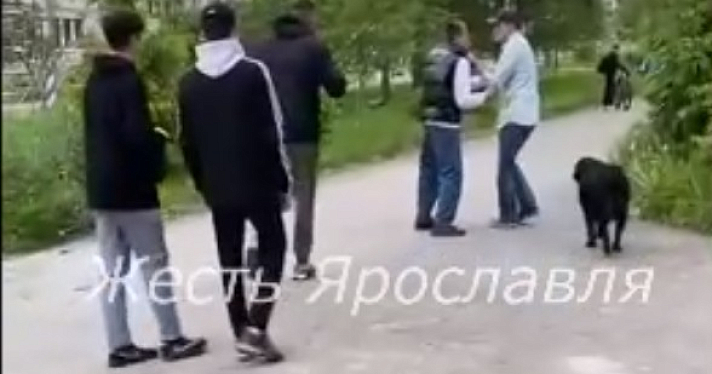 «На колени!»: под Ярославлем мужчины избили подростка