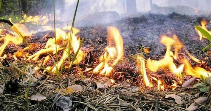 Сотрудники МЧС предупреждают о риске пожаров в Ярославской области