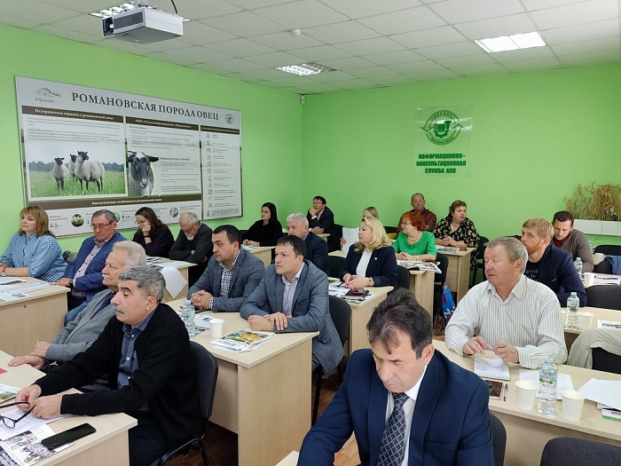 Поделились практическим опытом: предприятие Ярославской области приняло участие в межрегиональной конференции, посвященной развитию романовского овцеводства